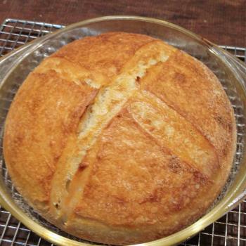 Ethyl Cinnamon rolls, pancakes, waffles, bread, pizza, biscuits, crackers first overview