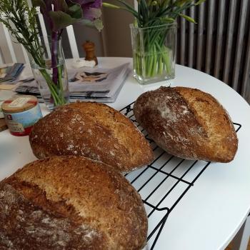 Evanston Levain recipe