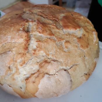 Feral Eldritch Round Dutch Oven Loaf first overview