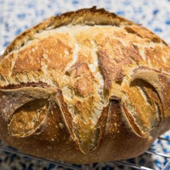 Fermento PP Bread, Bola de carne first overview