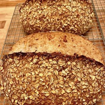 FIFO  Sourdough breads first overview