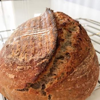 fluffy Banana Cinnamon Coconut Wine & Coconut Oil Sourdough first overview