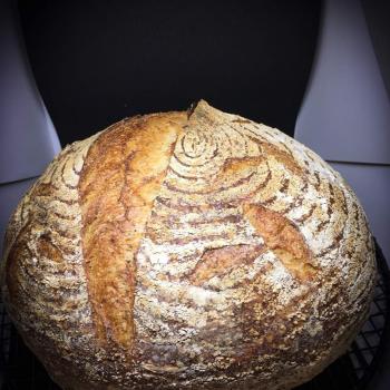 fluffy Poppy Seeds first overview