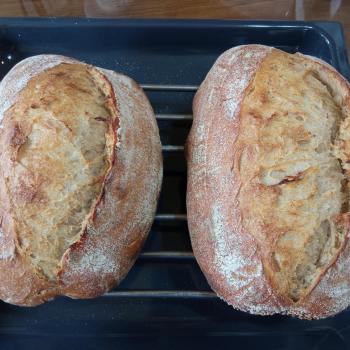 Fofo Cyprus Country bread first overview