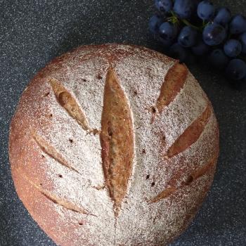 Frank Rye bread first overview
