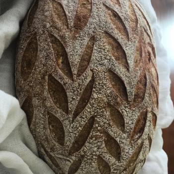 Fuji My Sourdough bread second overview