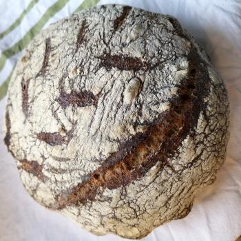 Gaia 50/50 Wholemeal & White loaf first overview