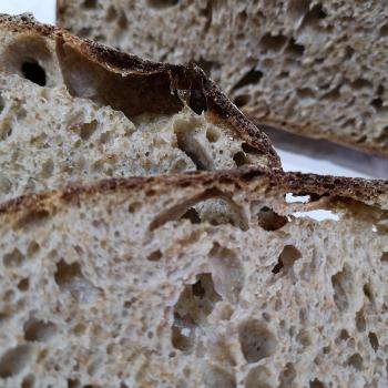 Gaia 50/50 Wholemeal & White loaf first slice