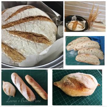 Genesis Sourdough Boule first overview