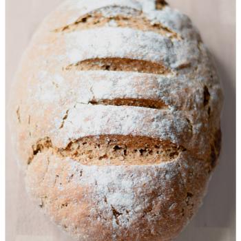 gingeryeast Probiotic fermented bread second overview