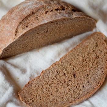 gingeryeast Probiotic fermented bread second slice
