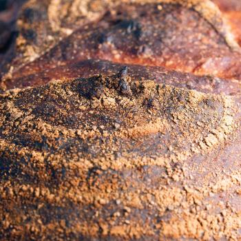 Hansel Sourdough first overview