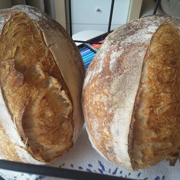 Honey Bunny All kind of sourdough recipes first overview