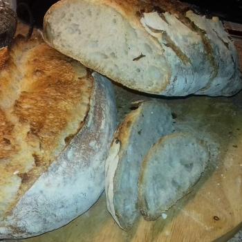 Honey Bunny All kind of sourdough recipes second overview