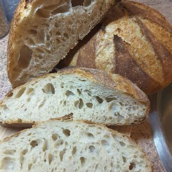 Honey Bunny All kind of sourdough recipes first slice