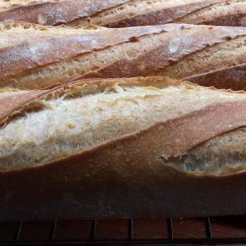 Honey Bunny Baguette first overview