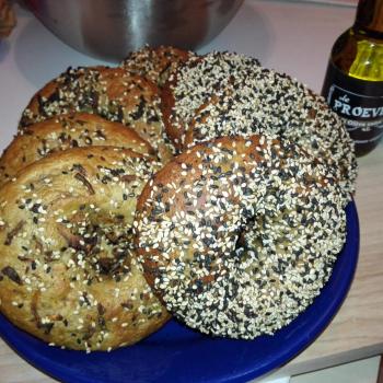 Honey Bunny Sourdough Bagels and rolls first overview