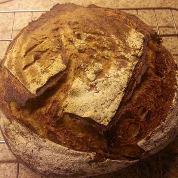 Honey Bunny Sourdough Boule second overview