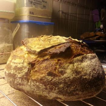 Honey Bunny Sourdough Boule first slice