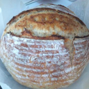 ID Bubbles Pizza crust and bread dough second overview
