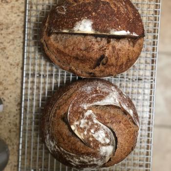 Ima Black Corn Whole Wheat Bread first overview