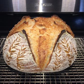 Iris  Sourdough boule first overview