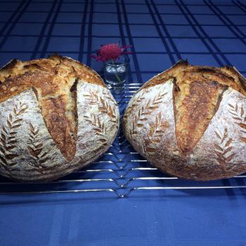 Iris  Sourdough boule second overview