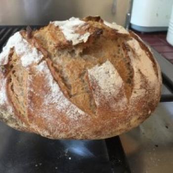 Island Bay Bread second overview