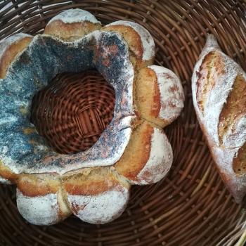 Jan II Interesting shaped breads first overview