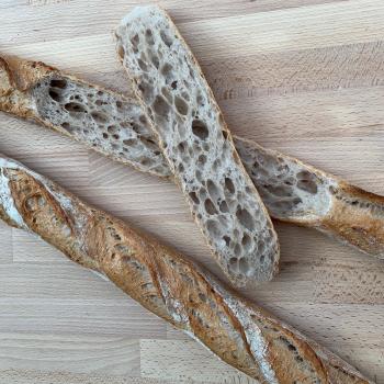 Jeremy Baguette first overview