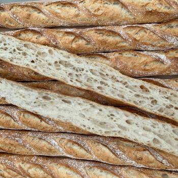 Jeremy Baguette second overview
