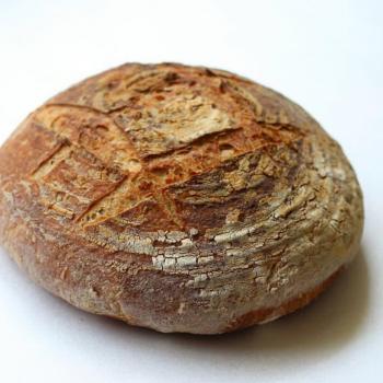 Jiya I bake a lot of breads, crackers and other indian breads first overview