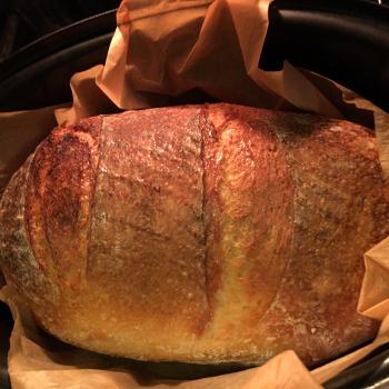 Julian Bread, Panettone etc. first overview