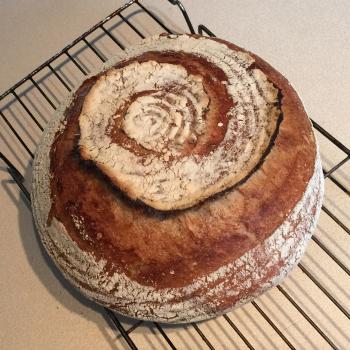Kate My Breads first overview