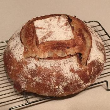 Kate My Breads second overview