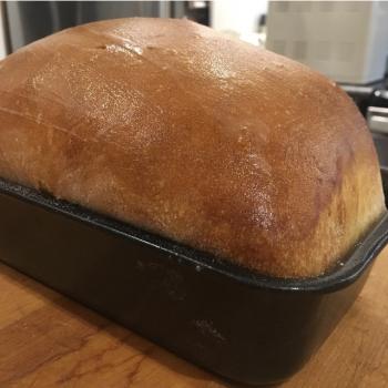 Klondike SourDough recipe