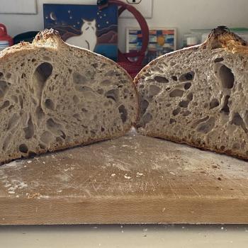 KT's Mighty Starter Sourdough Bread first overview