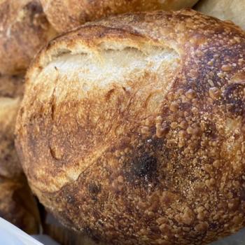 Kulina Lani Bread, Croissants, pancakes, English Muffins, Bagels, pizza first overview