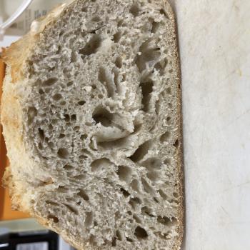 La chienne recipe