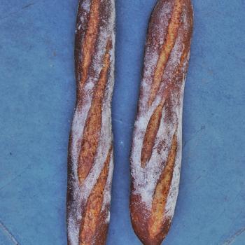 La Chilean Frenchie Baguettes second overview