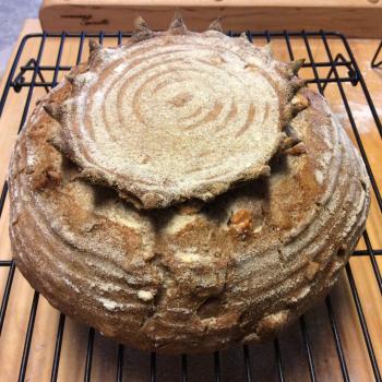 Lake Tawakoni White Sweet Potato Sourdough first overview