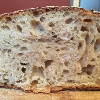 Levain on a Prayer Standard Sourdough 16hr total  second overview