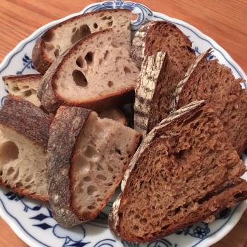 Levain on a Prayer Standard Sourdough 16hr total  first slice