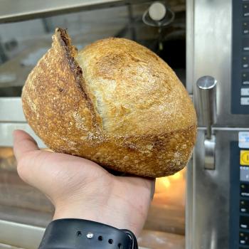 Levain sourdough Country bread sourdough first overview