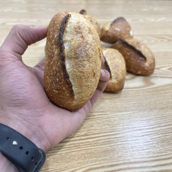 Levain sourdough Country bread sourdough second overview