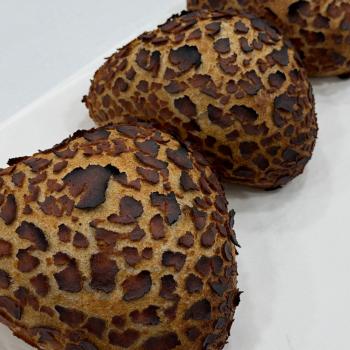 Levain sourdough Tiger bread first overview