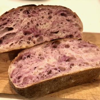 Lewaindowski Cherry blossom/matcha-chocolate flakes/sunflower/ciabatta first overview