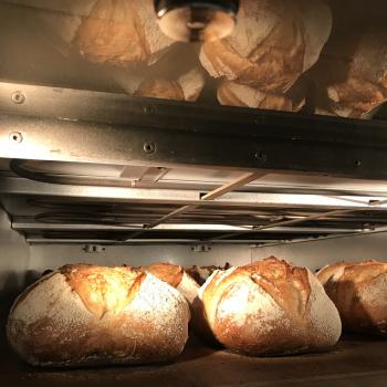 Lisa Sourdough oat second overview