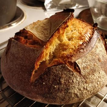 Luca Bread first overview