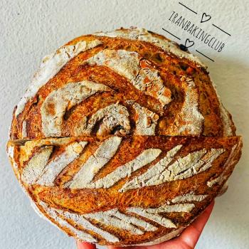 Lucy  Clasic sourdough first overview